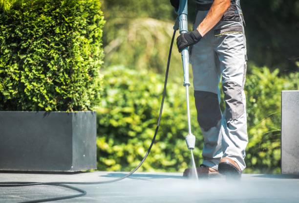 Best Driveway Pressure Washing  in Clever, MO